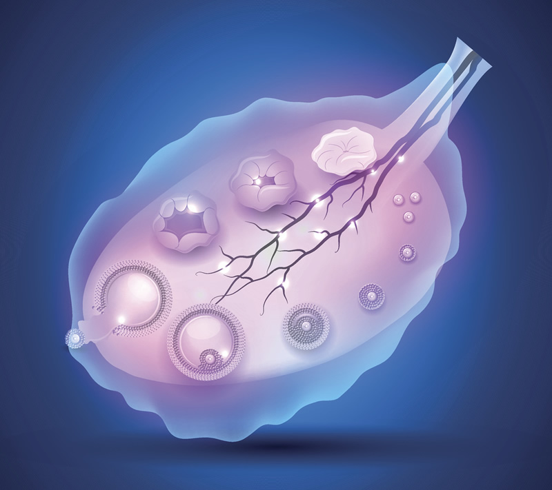 贵阳试管冻卵人气医院前三强出炉：贵州医科大学附属医院、贵阳市妇幼保健院领衔，附本地正规辅助生殖机构与费用对比指南